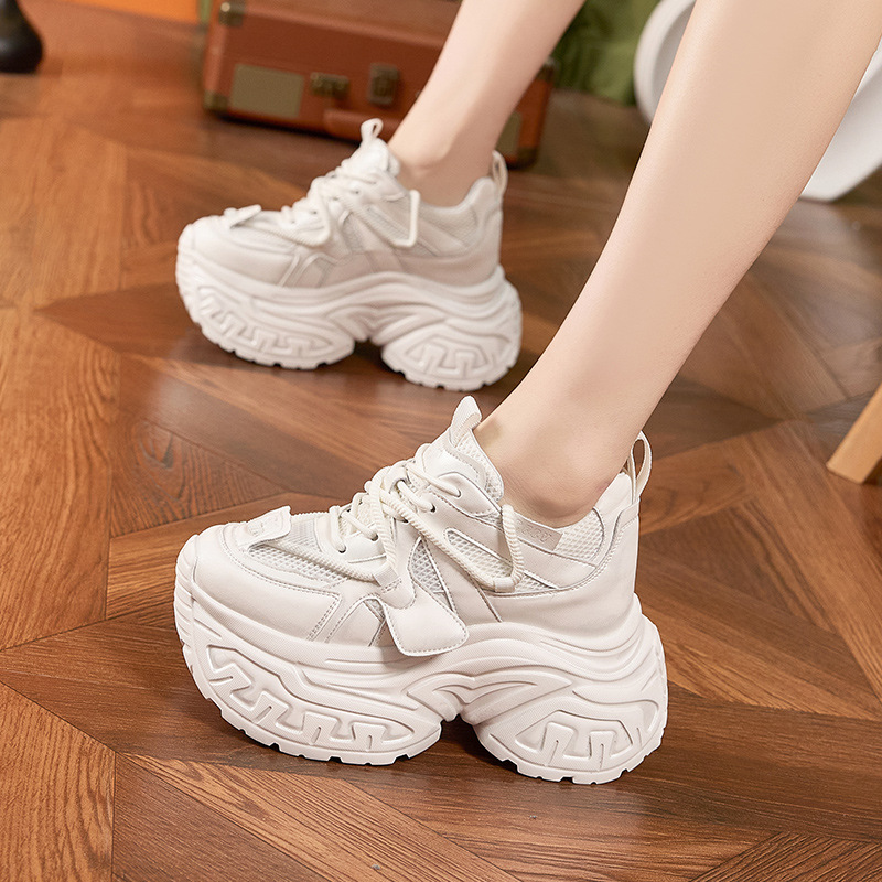 Inner Heightening Shoes for Wo - Shoe Brush review and price